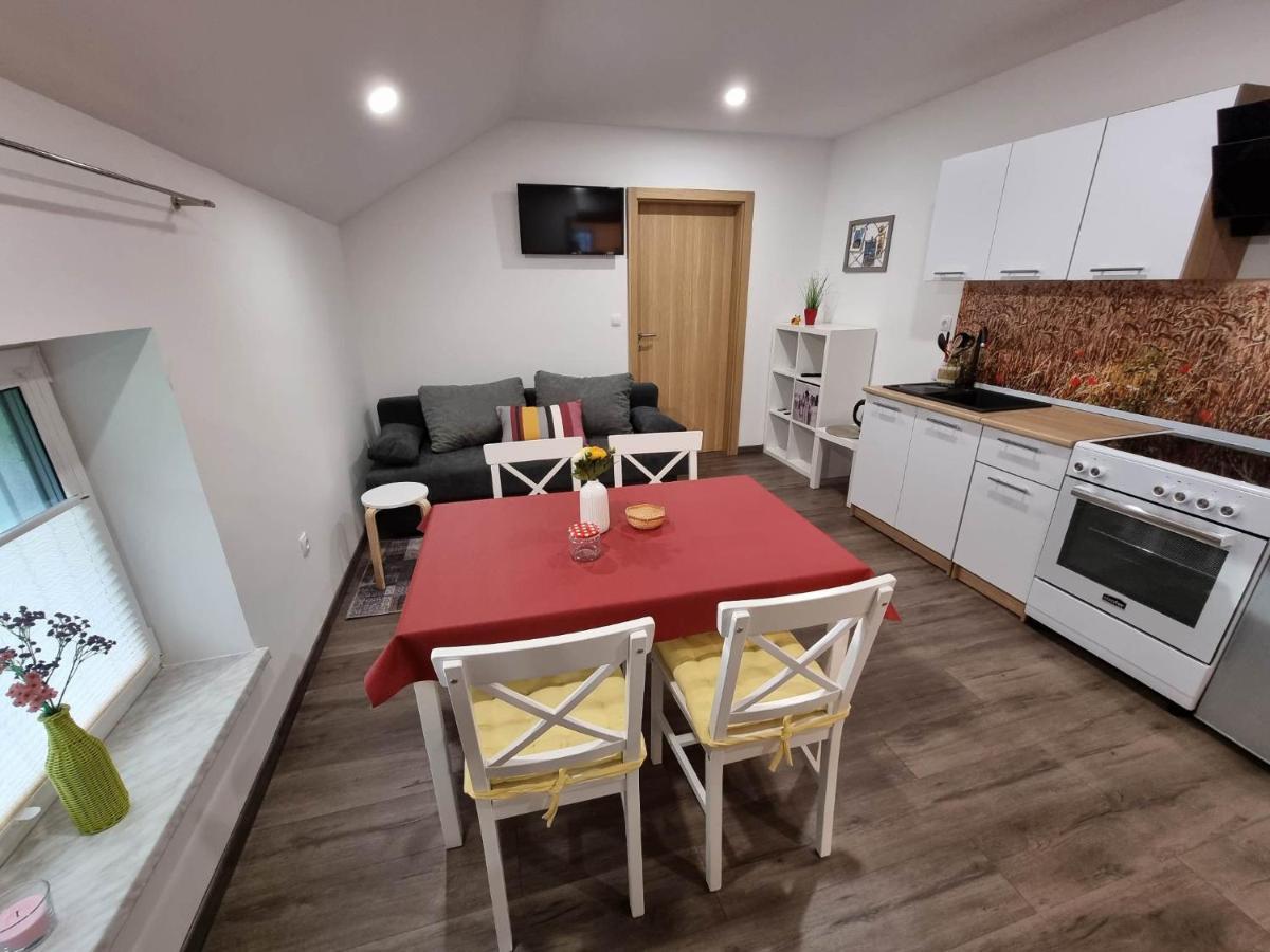 Apartmaji Ribic Ljubno Exterior foto
